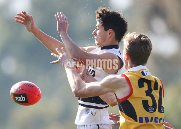 NAB League Boys 2019 Round 10 - Dandenong v Northern - 682841