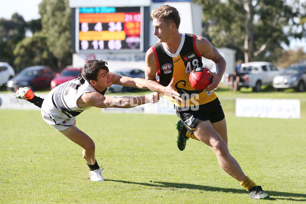 NAB League Boys 2019 Round 10 - Dandenong v Northern - 682882