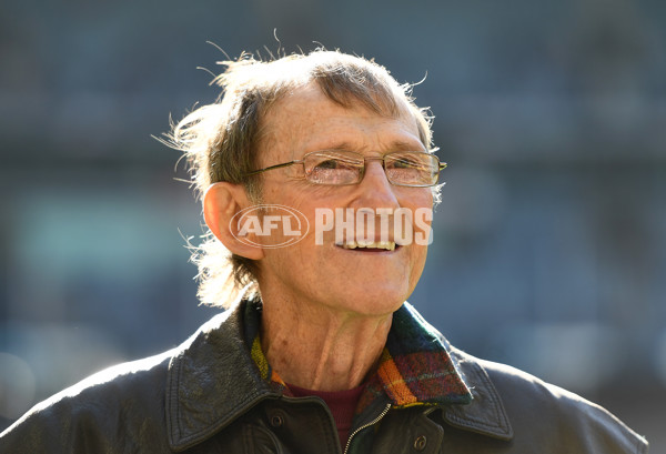 AFL 2019 Round 12 - Carlton v Brisbane - 682915