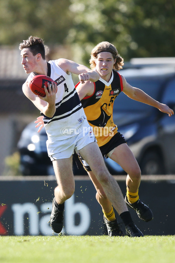 NAB League Boys 2019 Round 10 - Dandenong v Northern - 682905