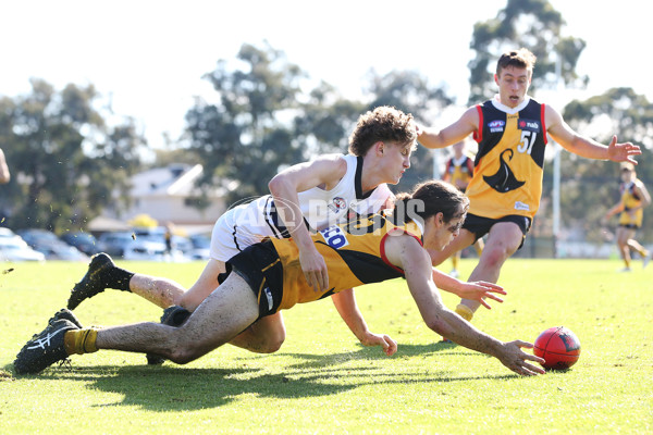 NAB League Boys 2019 Round 10 - Dandenong v Northern - 682891