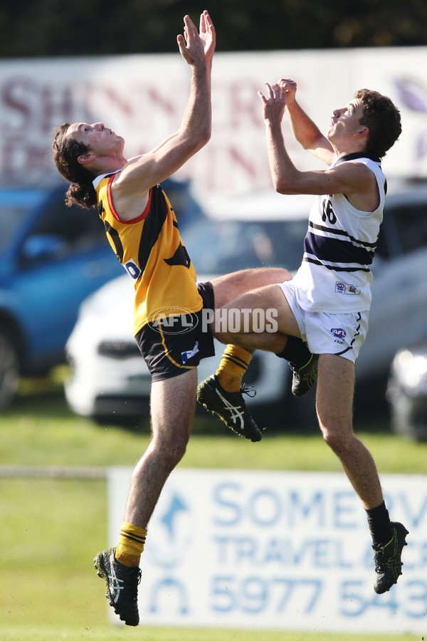 NAB League Boys 2019 Round 10 - Dandenong v Northern - 682843