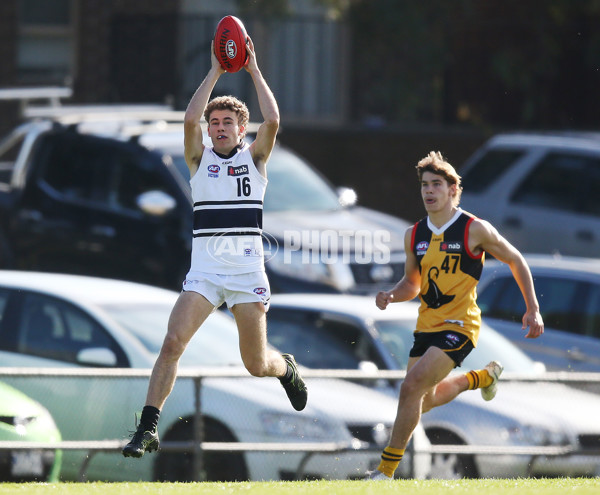 NAB League Boys 2019 Round 10 - Dandenong v Northern - 682850