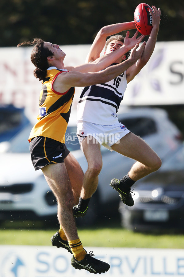 NAB League Boys 2019 Round 10 - Dandenong v Northern - 682844