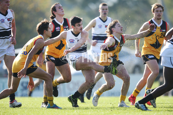 NAB League Boys 2019 Round 10 - Dandenong v Northern - 682847