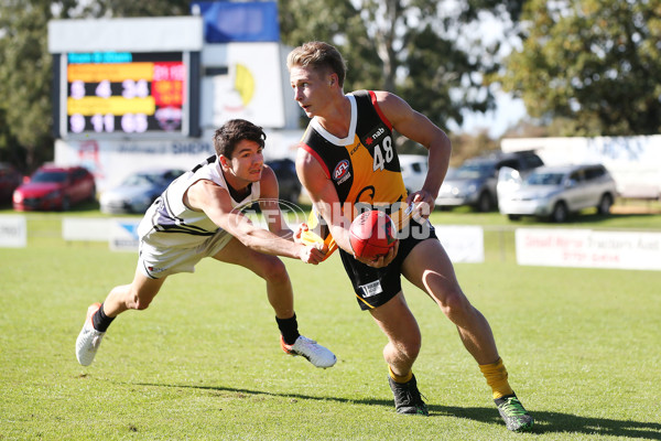 NAB League Boys 2019 Round 10 - Dandenong v Northern - 682881