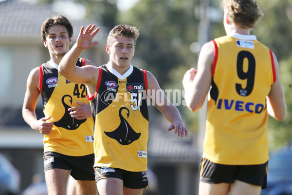 NAB League Boys 2019 Round 10 - Dandenong v Northern - 682907