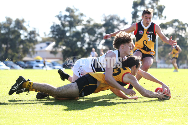 NAB League Boys 2019 Round 10 - Dandenong v Northern - 682890