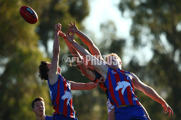 NAB League Boys 2019 Round 10 - Calder v Oakleigh - 683256