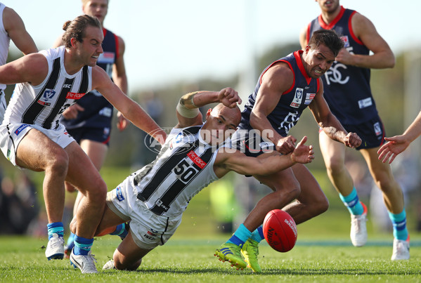 VFL 2019 Round 10 - Casey v Collingwood - 683506