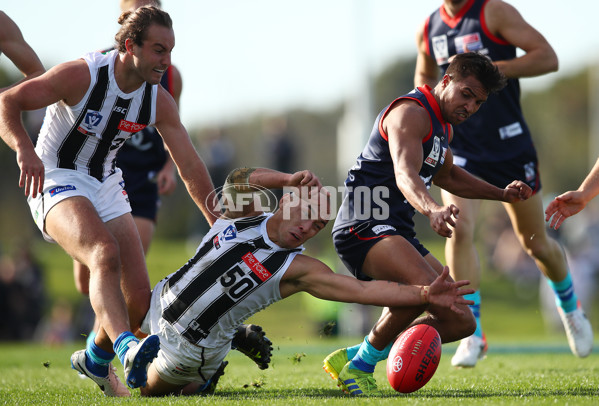 VFL 2019 Round 10 - Casey v Collingwood - 683765