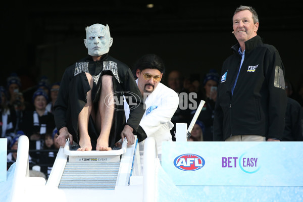 AFL 2019 Round 12 - Collingwood v Melbourne - 683885