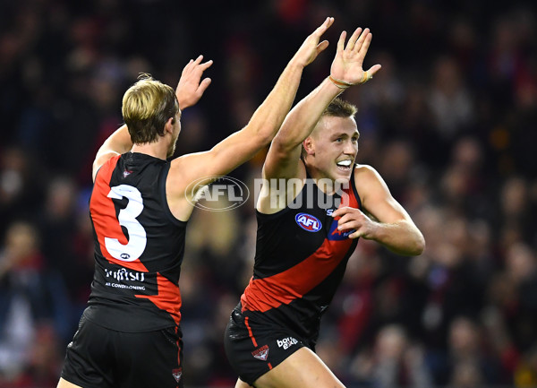 AFL 2019 Round 13 - Essendon v Hawthorn - 684858