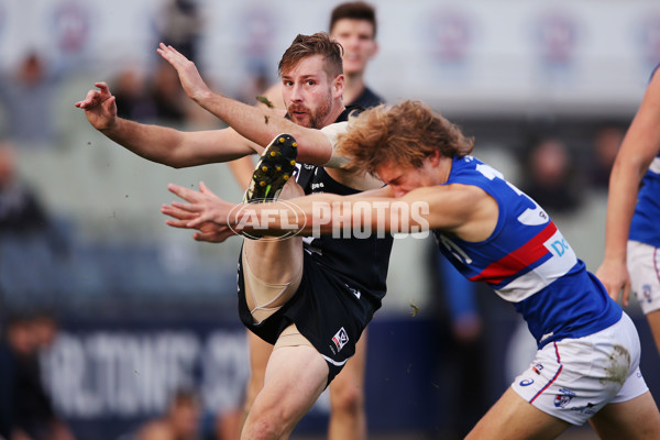 VFL 2019 Round 11 - Northern Blues v Footscray - 685111