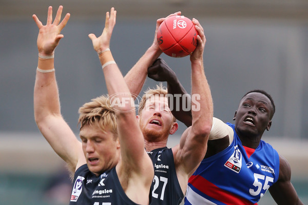 VFL 2019 Round 11 - Northern Blues v Footscray - 684990