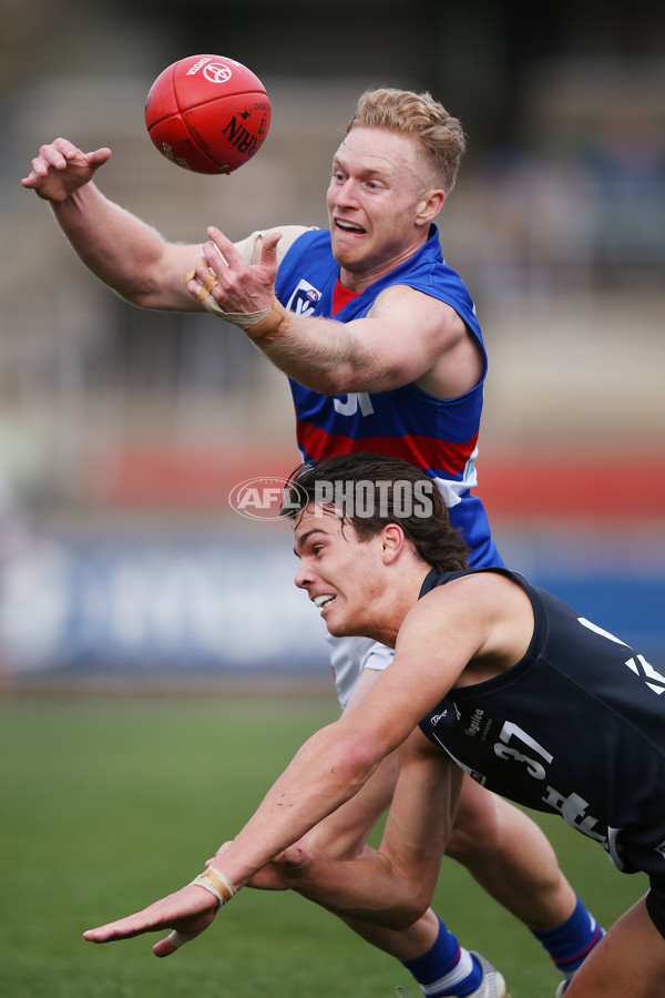 VFL 2019 Round 11 - Northern Blues v Footscray - 685046