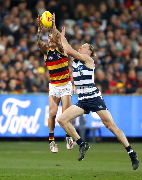 AFL 2019 Round 15 - Geelong v Adelaide - 688460