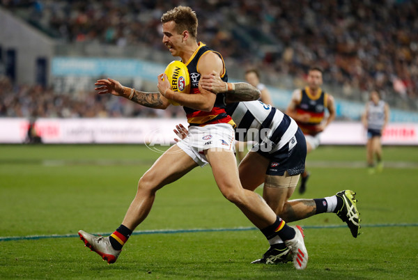 AFL 2019 Round 15 - Geelong v Adelaide - 688611