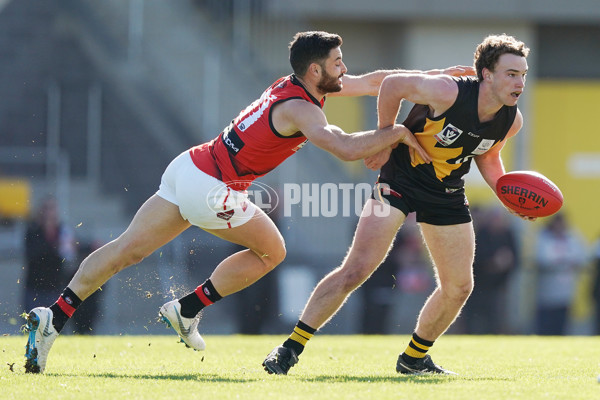 VFL 2019 Round 13 - Werribee vs Essendon - 689439