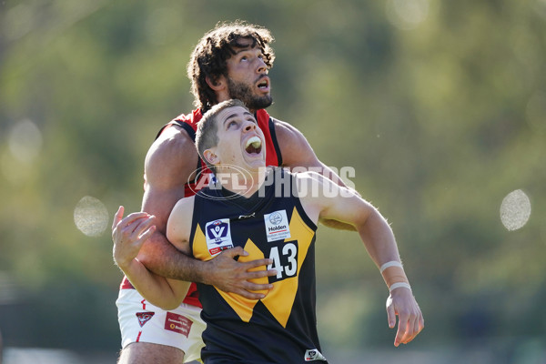 VFL 2019 Round 13 - Werribee vs Essendon - 689451