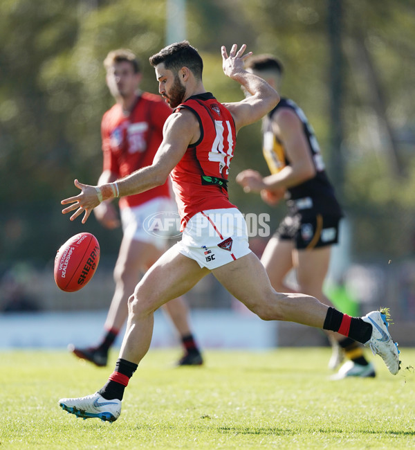 VFL 2019 Round 13 - Werribee vs Essendon - 689461