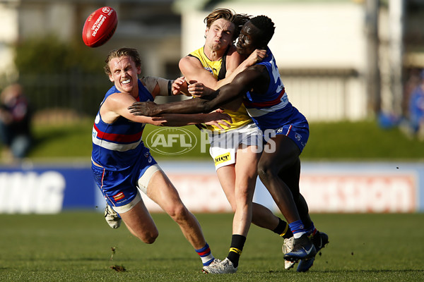 VFL 2019 Round 14 - Footscray v Richmond - 691261