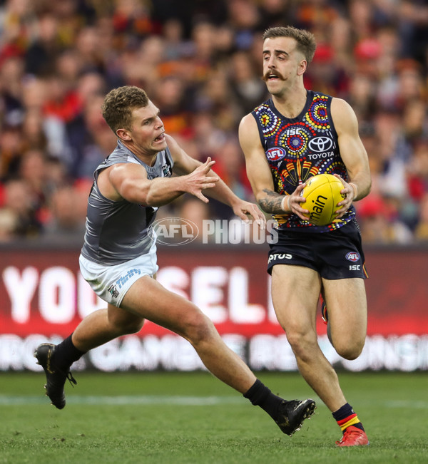 AFL 2019 Round 16 - Adelaide v Port Adelaide - 691555