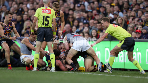 AFL 2019 Round 16 - Adelaide v Port Adelaide - 692057