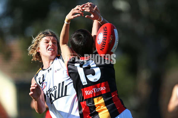 AFL 2019 Media - Flying Boomerangs v World Team - 692978