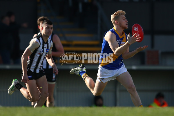 VFL 2019 Round 15 - Collingwood v Williamstown - 693971