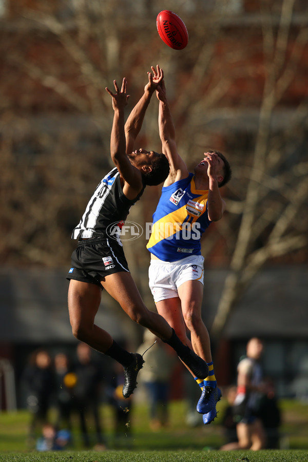 VFL 2019 Round 15 - Collingwood v Williamstown - 694093