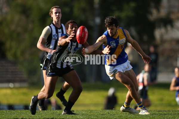 VFL 2019 Round 15 - Collingwood v Williamstown - 694018