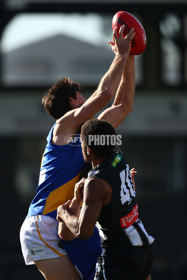 VFL 2019 Round 15 - Collingwood v Williamstown - 694036