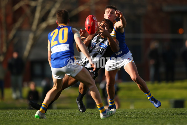 VFL 2019 Round 15 - Collingwood v Williamstown - 694092