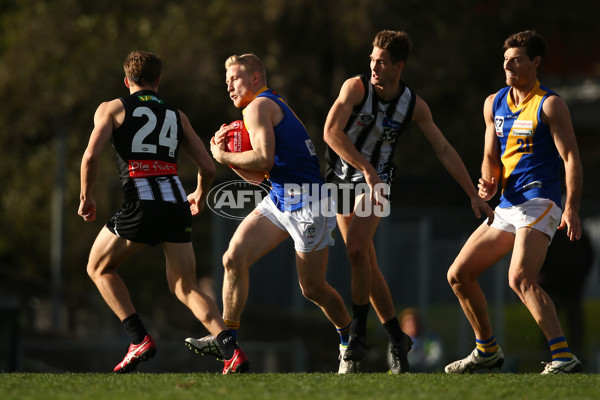 VFL 2019 Round 15 - Collingwood v Williamstown - 694100