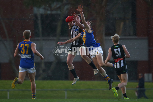 VFL 2019 Round 15 - Collingwood v Williamstown - 694190