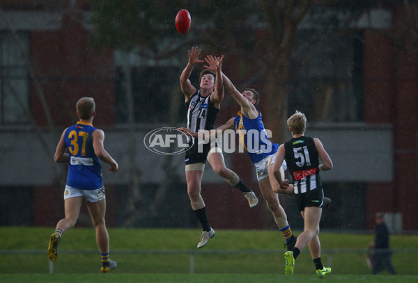 VFL 2019 Round 15 - Collingwood v Williamstown - 694191