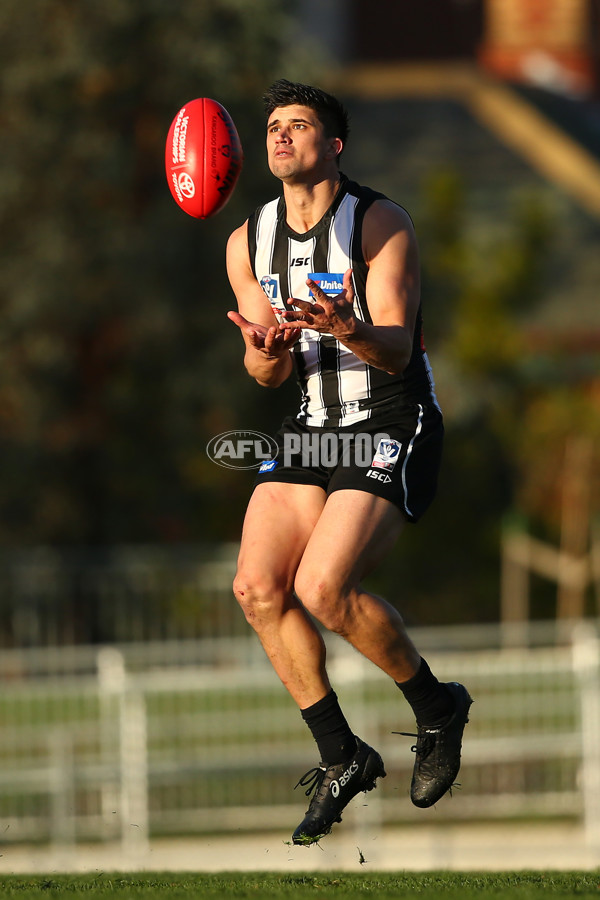 VFL 2019 Round 15 - Collingwood v Williamstown - 694210