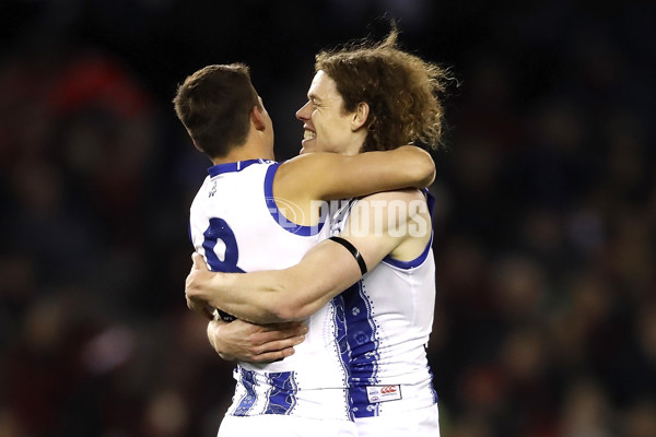 AFL 2019 Round 17 - Essendon v North Melbourne - 694255