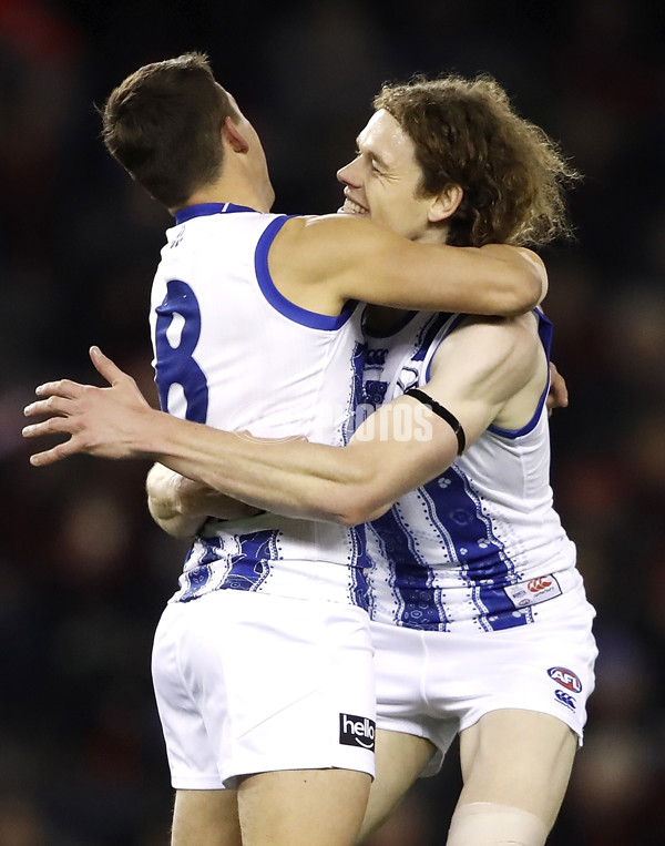 AFL 2019 Round 17 - Essendon v North Melbourne - 694254