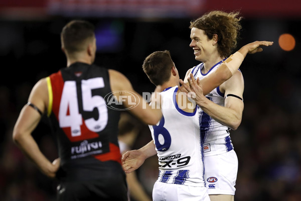 AFL 2019 Round 17 - Essendon v North Melbourne - 694463