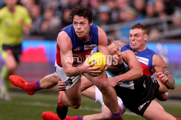 AFL 2019 Round 17 - Port Adelaide v Brisbane - 695253