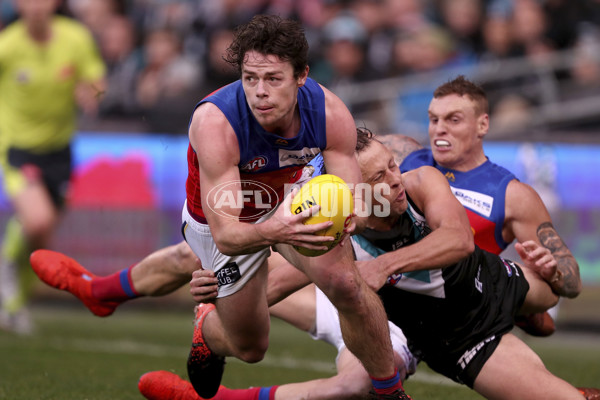 Photographers Choice - AFL 2019 Rd 17 - 695614