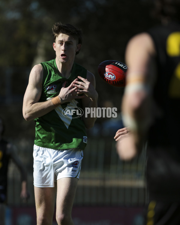 AFL Vic 2019 Young Guns Series - Game 3 - 696166