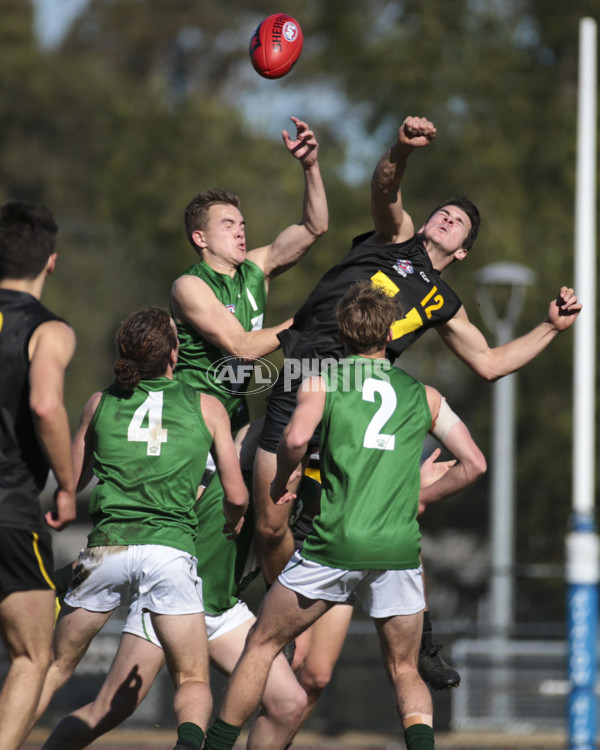 AFL Vic 2019 Young Guns Series - Game 3 - 696206