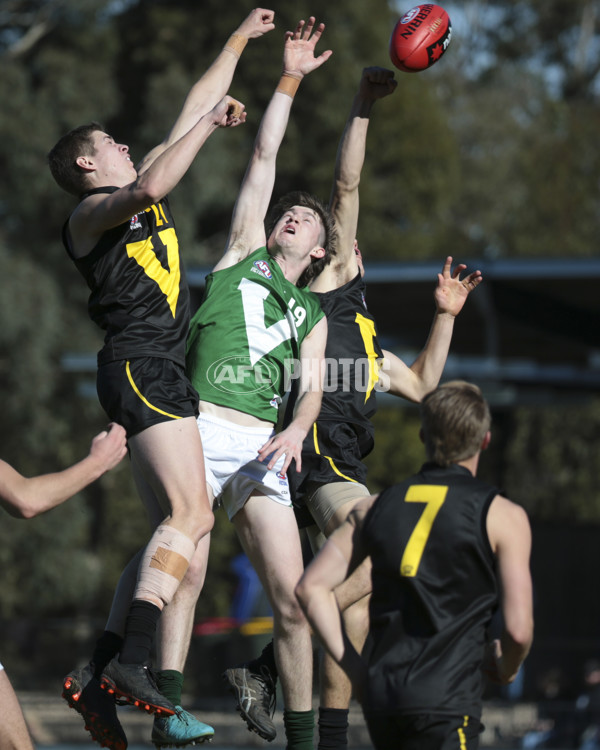 AFL Vic 2019 Young Guns Series - Game 3 - 696203