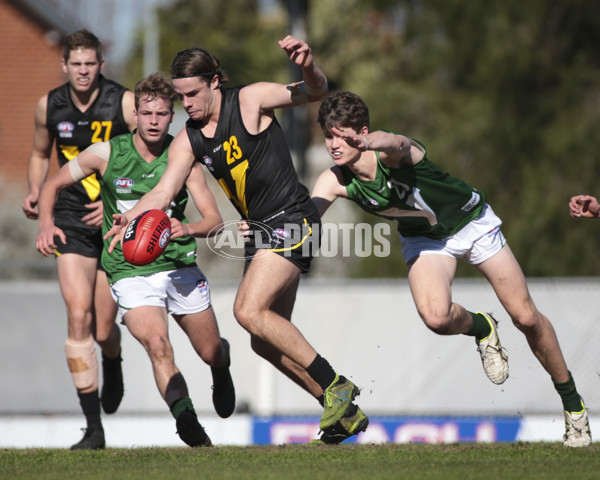 AFL Vic 2019 Young Guns Series - Game 3 - 696205