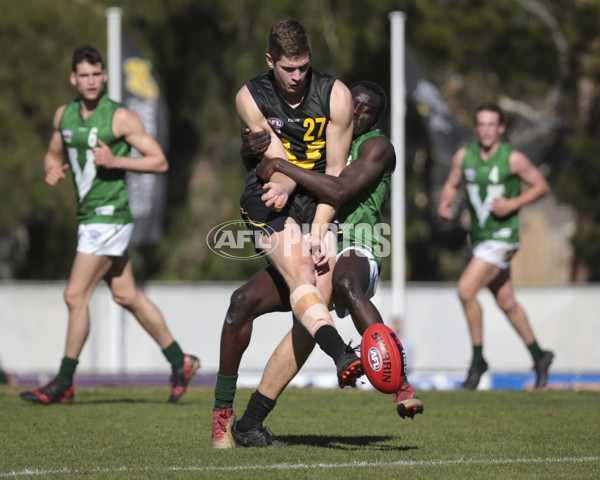 AFL Vic 2019 Young Guns Series - Game 3 - 696195