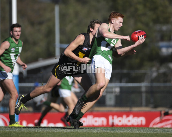 AFL Vic 2019 Young Guns Series - Game 3 - 696208