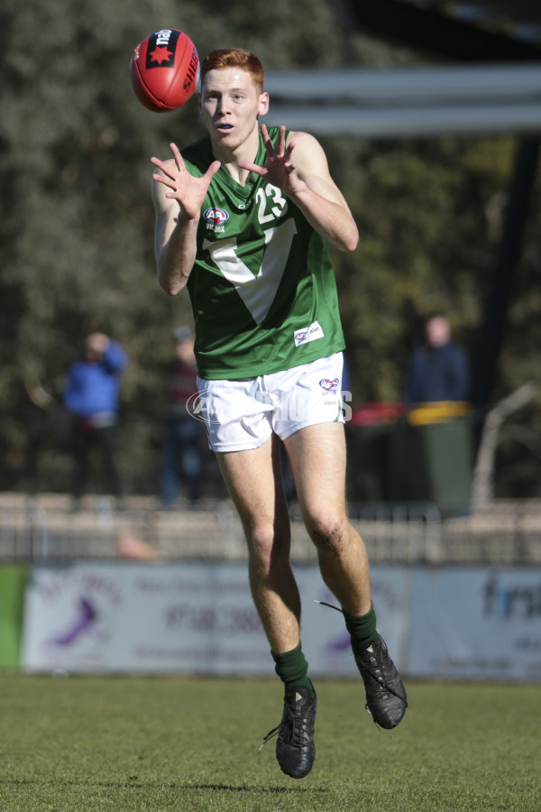 AFL Vic 2019 Young Guns Series - Game 3 - 696223